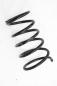 Preview: Feder hinten links 550208H762 Nissan X-TRAIL 1