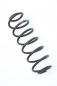 Preview: Feder hinten links 2S615560AE Ford FIESTA 5 JH