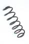 Preview: Feder hinten links 2S615560AE Ford FIESTA 5 JH