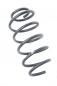 Preview: Feder vorn links REB000120 Land Rover FREELANDER 1 LN