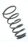 Preview: Feder hinten links 553302E600 Hyundai TUCSON 1
