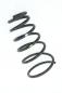 Preview: Feder hinten links 553302E500 Hyundai TUCSON 1