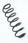 Preview: Feder hinten links 2S615560AE Ford FIESTA 5 JH