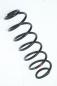 Preview: Feder hinten links 2S615560AE Ford FIESTA 5 JH