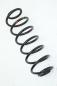 Preview: Feder hinten rechts 2S615560AE Ford FIESTA 5 JH