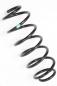 Preview: Feder hinten links 482310H030 Toyota AYGO 2