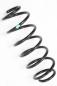 Preview: Feder hinten rechts 482310H030 Toyota AYGO 2