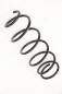 Preview: Feder vorn links 481310H030 Toyota AYGO 2