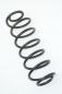 Preview: Feder hinten links 2S615560AE Ford FIESTA 5 JH