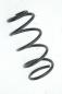 Preview: Feder hinten rechts 553302B521 Hyundai SANTA FE 2 CM