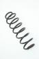Preview: Feder hinten links 2S615560AE Ford FIESTA 5 JH