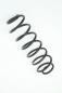 Preview: Feder hinten links 2S615560AE Ford FIESTA 5 JH