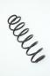 Preview: Feder hinten rechts 2S615560AE Ford FIESTA 5 JH