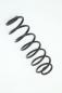 Preview: Feder hinten rechts 2S615560AE Ford FIESTA 5 JH