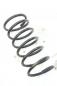Preview: Feder hinten links RKB000050 Land Rover FREELANDER 1 LN