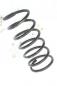 Preview: Feder hinten links RKB000050 Land Rover FREELANDER 1 LN