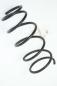 Preview: Feder hinten links Subaru FORESTER 2 SG