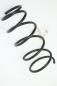 Preview: Feder hinten rechts Subaru FORESTER 2 SG