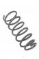 Preview: Feder hinten links 553303E040 Kia SORENTO 1 JC