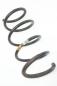 Preview: Feder vorn links 6001549185 DACIA LOGAN 1 MCV