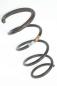 Preview: Feder vorn links 6001549185 DACIA LOGAN 1 MCV