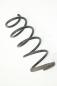 Preview: Feder vorn links 51406SWWE03 Honda CR-V 3