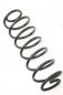 Preview: Feder hinten rechts 2S615560AE Ford FIESTA 5 JH