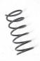 Preview: Feder vorn links 5463005300 Hyundai ATOS 3 Prime
