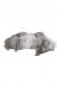 Preview: Aggregatehalter 8200527320C Nissan X-TRAIL 2