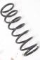 Preview: Feder hinten links Subaru FORESTER 3 SH