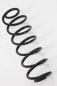 Preview: Feder hinten links 2N115560AE Ford FUSION