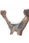 Preview: Querlenker vorn links 4010A013 Mitsubishi L 200 4 KB4T