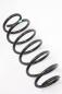 Preview: Feder hinten links B000770780 Citroen C1 2