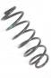Preview: Feder hinten links 5102N6 Peugeot 107 P