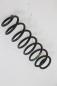 Preview: Feder hinten rechts 6Q0511115BH Seat IBIZA 3 6L