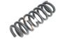 Preview: Feder hinten rechts 4131165J00 Suzuki GRAND VITARA 2