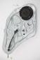 Preview: Fensterheber elektrisch hinten links 834012P000 Kia SORENTO 2 XM