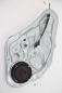 Preview: Fensterheber elektrisch hinten links 834012P000 Kia SORENTO 2 XM
