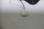 Preview: Antenne 841MA8637B114 Mitsubishi OUTLANDER 3 AWD