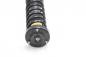 Preview: Federbein hinten rechts 33521093646 BMW 5er E39