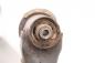 Preview: Achse hinten 4651062J01 Suzuki SWIFT 3 MZ