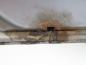 Preview: Tür hinten links UR5673020C Mazda BT 50 UN