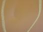 Preview: Motorhaube 5149226 Ford TRANSIT CONNECT