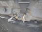 Preview: Motorhaube 7H0823033D VW T5 BUS