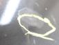 Preview: Motorhaube 8P0823029E Audi A3 8P