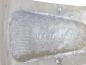 Preview: Felge Alu/Leichtmetall hinten links 96941044 Opel ANTARA