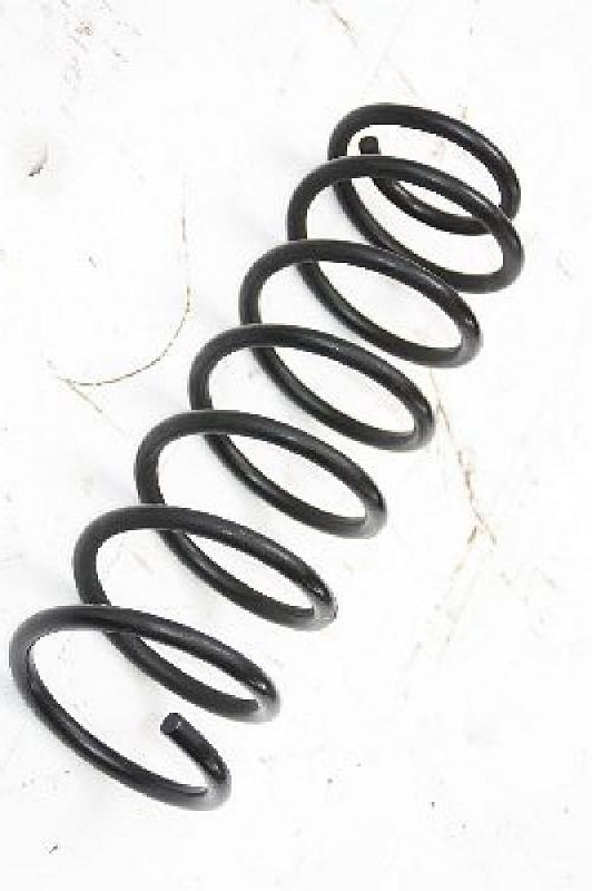 Preview: Feder hinten links 96653225 Chevrolet KALOS