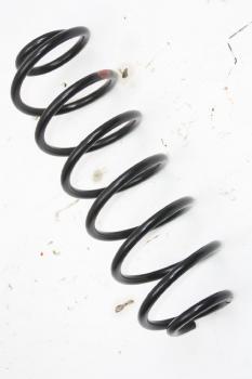Feder hinten links 2S615560AE Ford FIESTA 5 JH