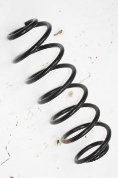 Preview: Feder hinten rechts 2S615560AE Ford FIESTA 5 JH