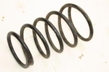 Feder hinten links 550208H762 Nissan X-TRAIL 1
